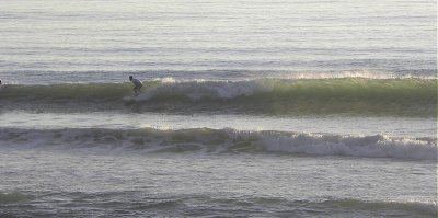 DSCN8518 2.JPG