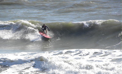 DSCN8729 2.JPG