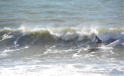 DSCN8748 2.JPG