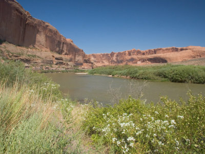 Colorado River north of Moab