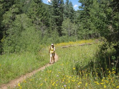 Allie along Indian Creek Trail