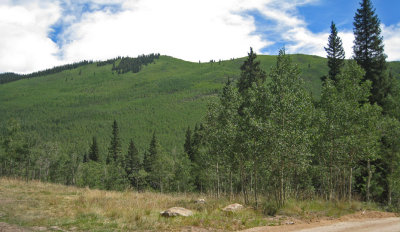 Mountainside in Pike National Forest