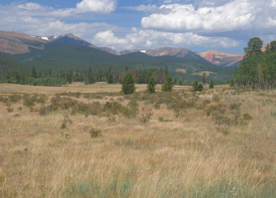 Landscape around Pike National Forest