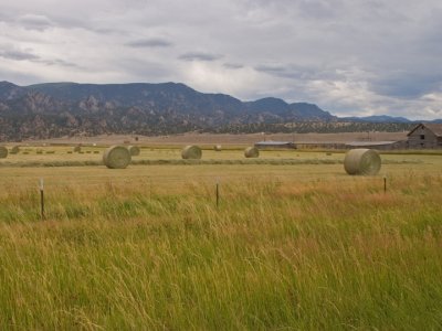 Hay bales near Villa Grove, CO