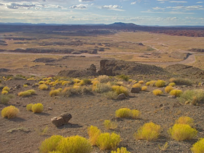 Painted Desert overlook 7