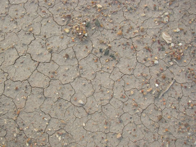 Mudcracks in the desert pavement