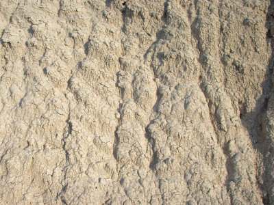 Bentonite clay up close