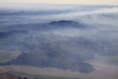 La fort est dans la brume