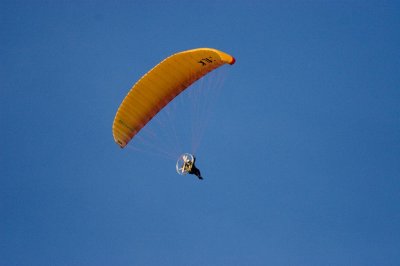 Pif je t'avais interdit de toucher au 20D