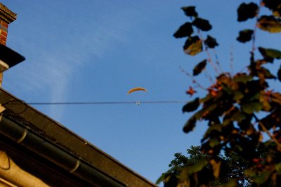 Pif je t'avais interdit de toucher au 20D