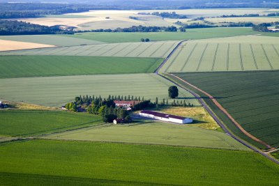 Une ile sur l'ocan vert