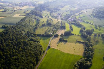 La campagne mosellane