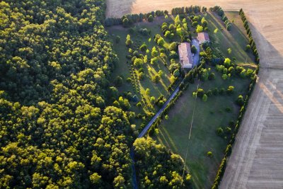Les arbres cachent la fort
