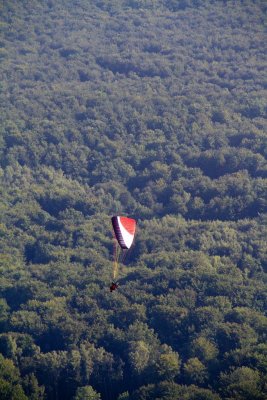 Alain radadate sur la forêt ? Meuh non !