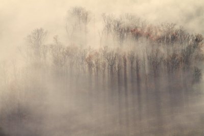 Brumes & brouillard