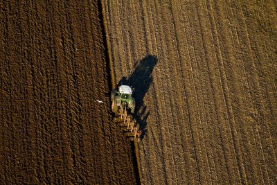 L'Aigrette et le soc