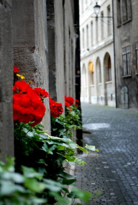 The Old Town of Geneva