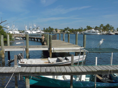 Port Salerno FL