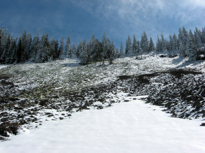 Hiking Up Ridge