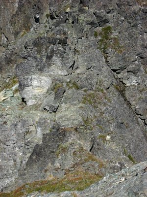 Notch Rocks