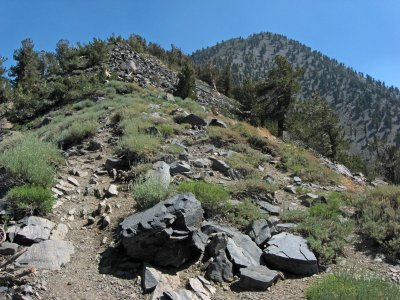 Trail Towards Summit