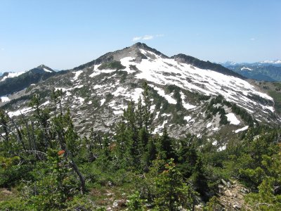 Wider View of Howard