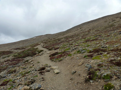 Elbert Trail