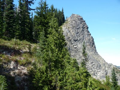Buttress