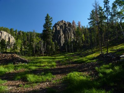 Rocky Spires in Forest