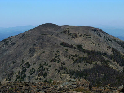 Elkhorn from Crow