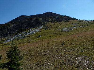 First View of Elkhorn