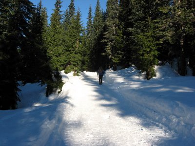 Plowed Track