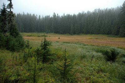 Beljica Meadows