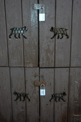 Cabinet Kitties