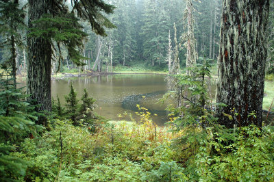 Tarn/Lake