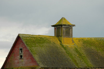 Mossy Barn