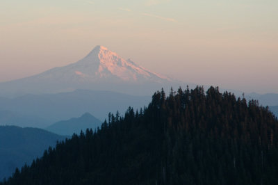 Hood Alpenglow