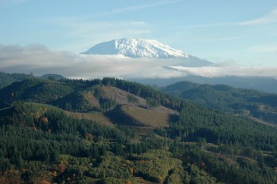 St. Helens from Speelyai Ridge