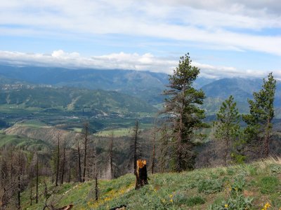 Wenatchee River Valley from Tibbetts
