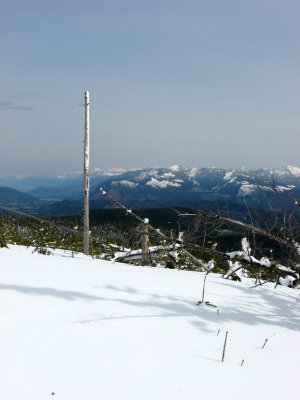 Logging Territory