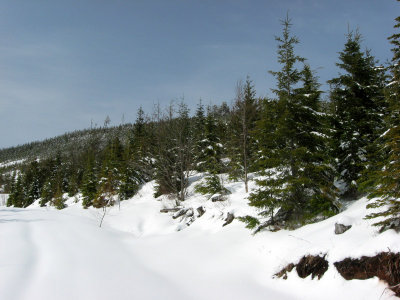 Walking Snow Covered Roads
