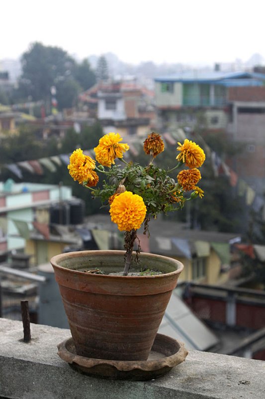 From the rooftop of The Valley Guesthouse