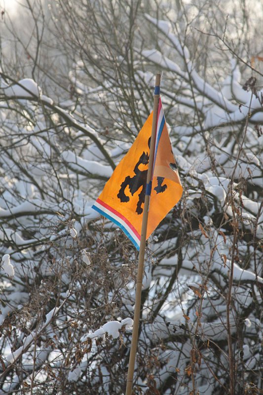 Stiltegebied Koudenhoorn