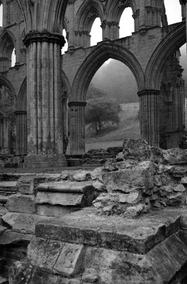 Rievaulx Abbey