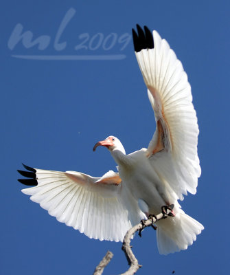 aIMG_2232.jpg