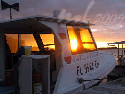 aIMG_1120.jpg
