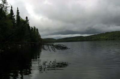 aIMG_1386.jpg