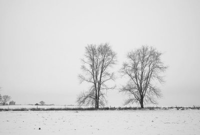 Winter farm