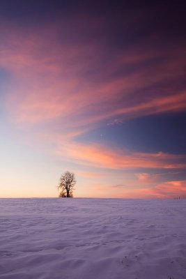 Cold winter morning