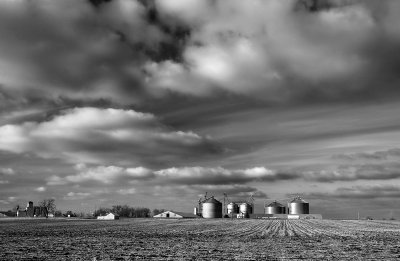 Field